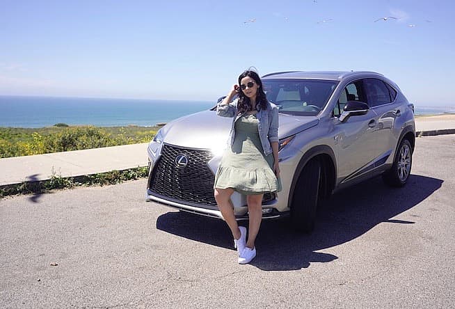 Lexus Nx 300 F