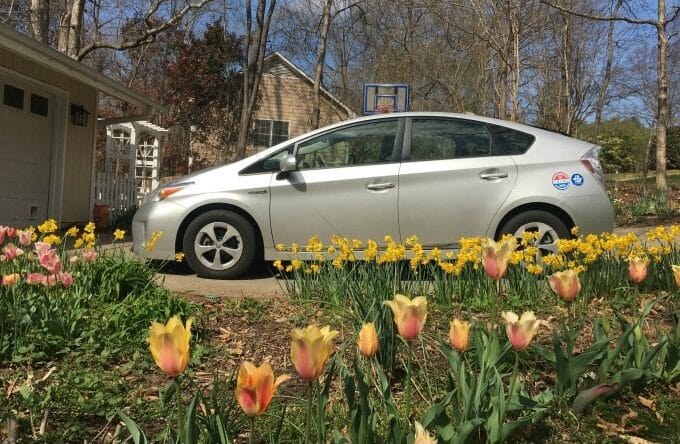 Toyota Prius And Springtime