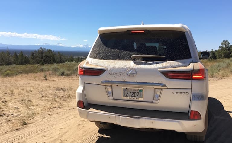 Off Road Lexus