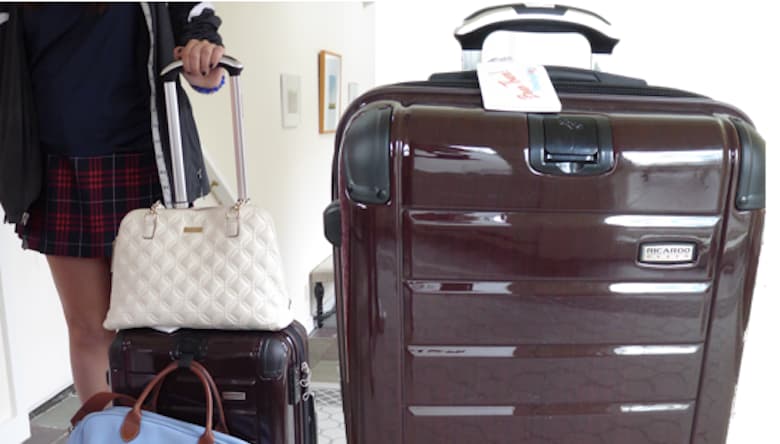 Ricardo Beverly Hills Luggage