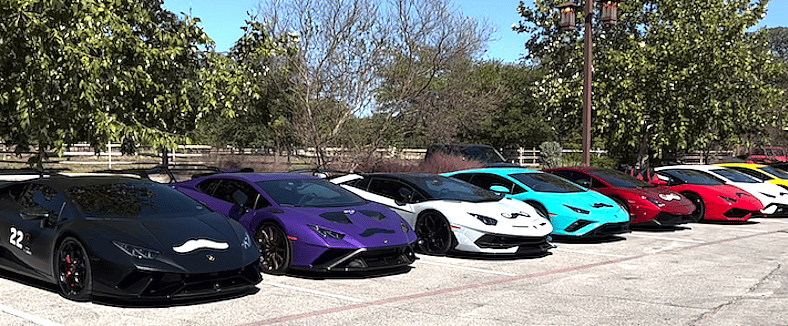 The Candy Color Array Of Mustachioed Lamborghinis