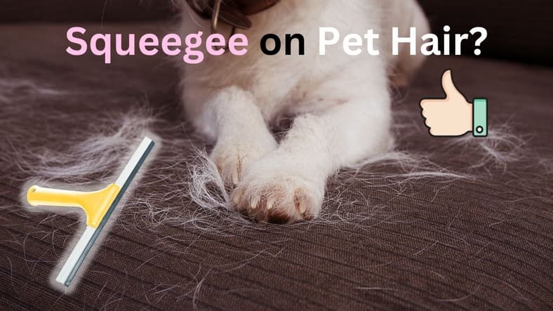 A Hairy Dog With A Squeegee Graphic