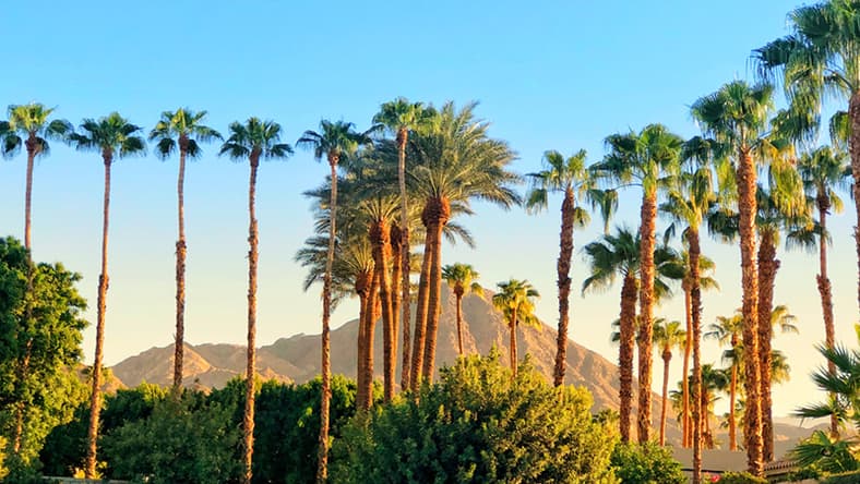 Miramonte Palm Springs Resort
