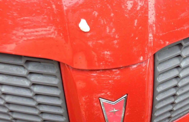Gum On The Car. Photo: @Turn_The_Paige Via Instagram.