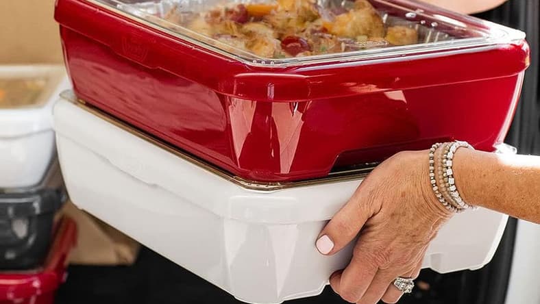 Fancy Panz Containers Are Insulated And Convenient When Traveling In The Car With Food. Photo Amazon