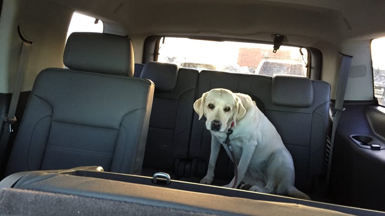 Spending the Holidays in the 2016 Yukon Denali: Room for Family 2 2016 Yukon Denali