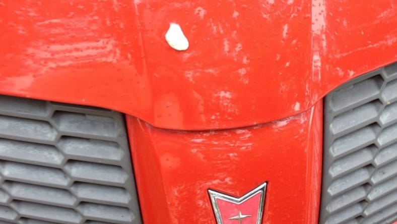 How To Remove Gum From Your Car's Exterior 2 Gum On The Car. Photo: @Turn_The_Paige Via Instagram.
