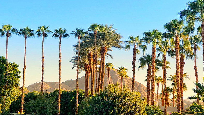 Miramonte Palm Springs Resort