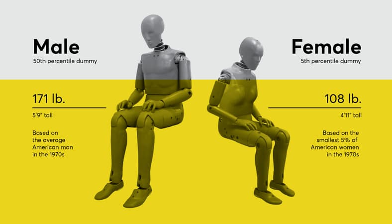 The Anatomical Differences Between Female And Male Crash Test Dummies