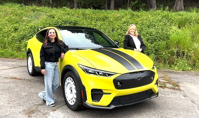 Electric Cars Ev Purchase