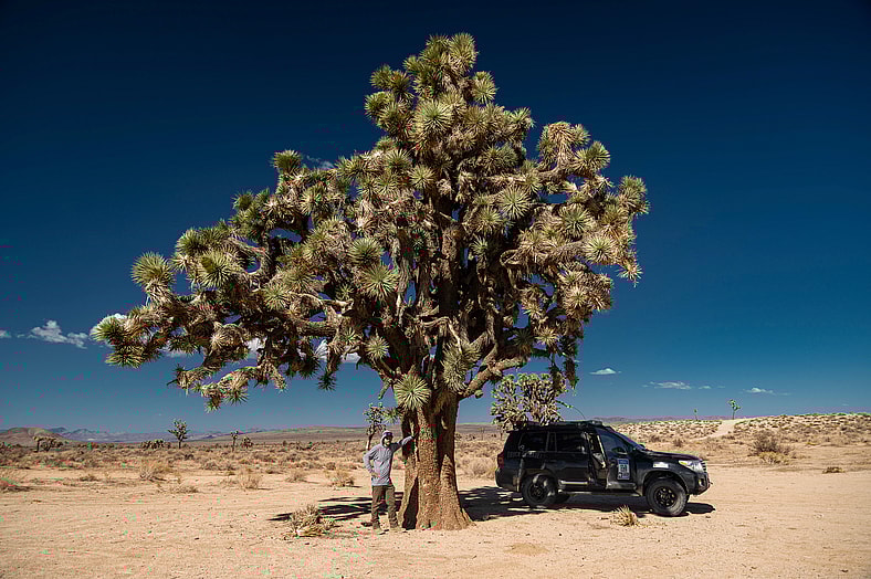 The Rebelle Rally Has A Lot Of Unique Landscapes