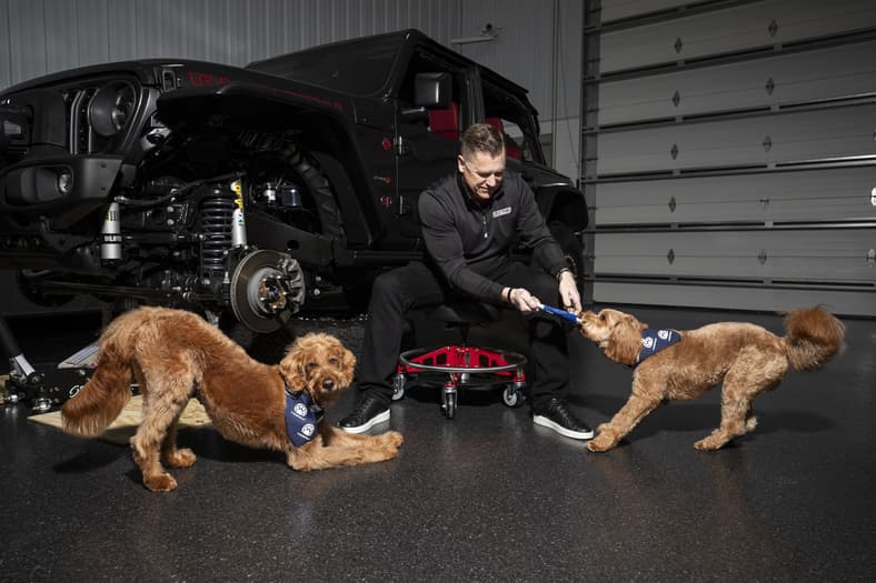 Mopaw's Pet Travel Accessories Will Keep Your Dog and Your Jeep—Or Any Car, Really—Cleaner and Happier 5 Dogs In An Autoshop