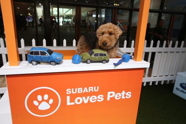 Subaru Brings Puppies For Adoption To More Than 40 Auto Shows Around The Country
