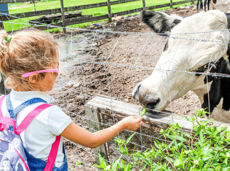 Field Trip Tips: Our Survival Guide To Chaperone Your Class Like a Pro 3 Farm Field Trip Tips