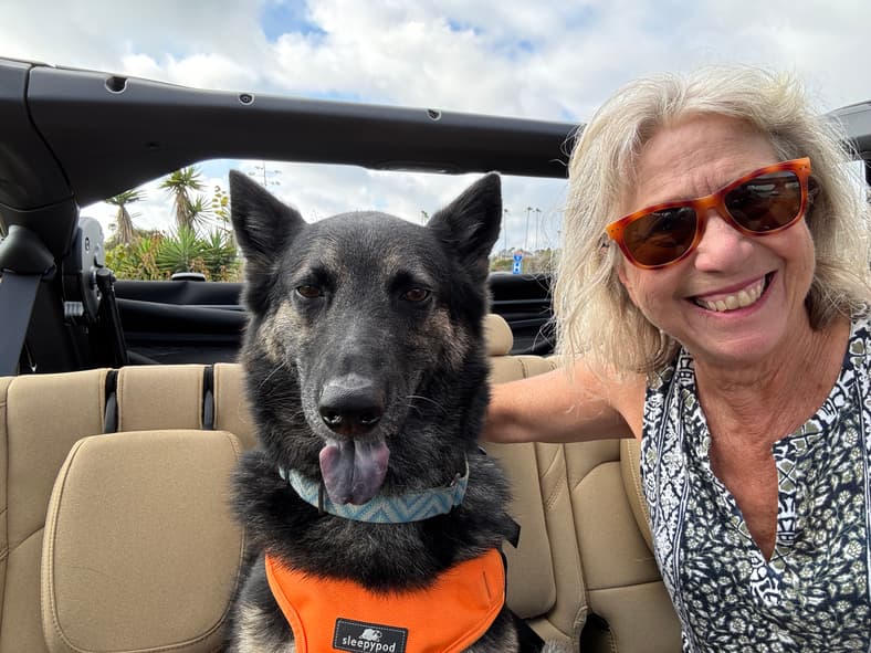 Kymri And Her Dog, Bo, In The Jeep Wrangler 4Xe