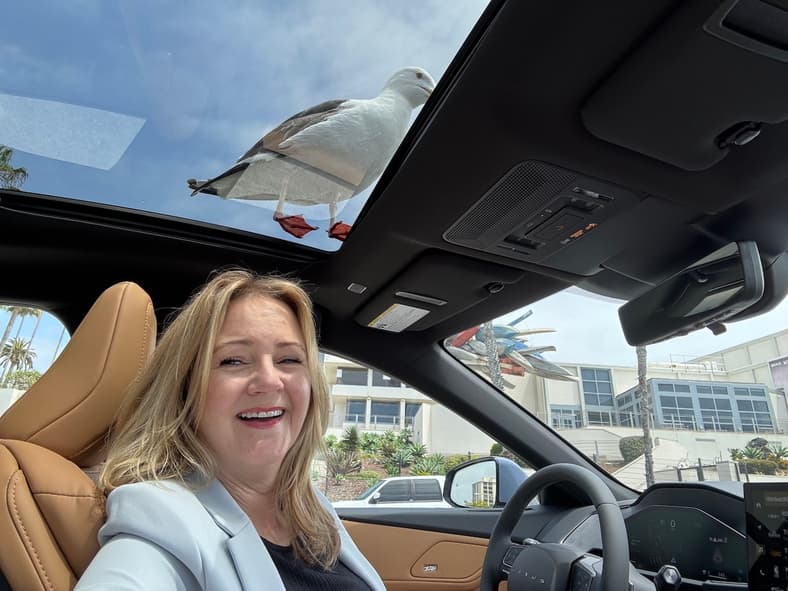 The Wide Panoramic Sunroof Means You Get A Closer Look At Wildlife In The 2026 Lexus Es 350H