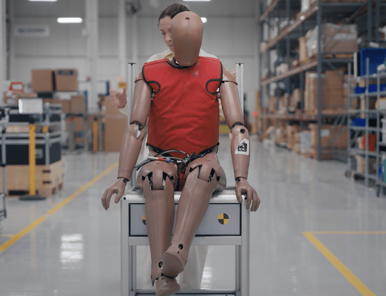 New Male Test Crash Dummy 