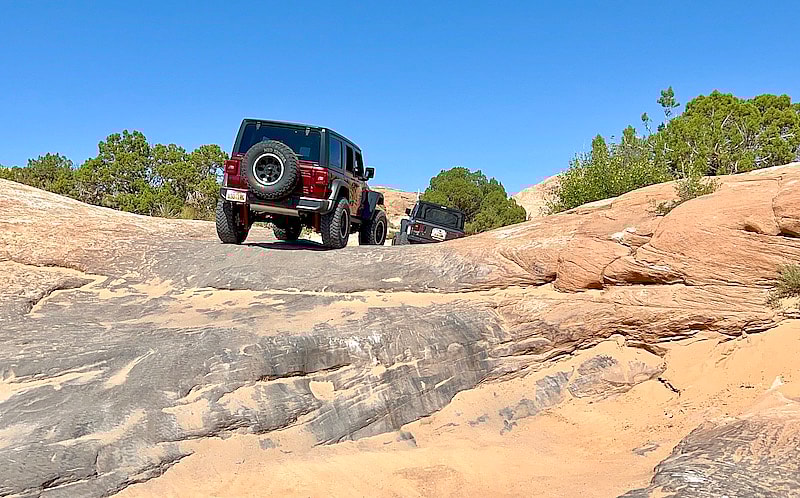 Cosmo'S Mud Kicker Up Close. Photo: Tami Mittan