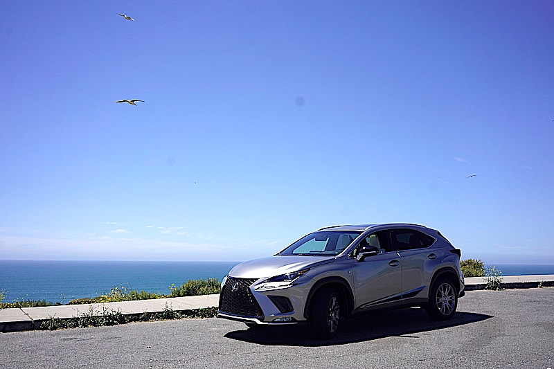 Lexus Nx Luxury Suv