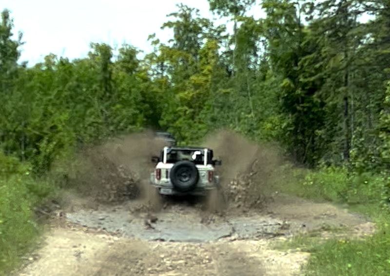 Everyone Needs To Kick Up Some Water Every Now And Then