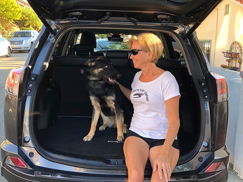 Traveling with a Dog: The Best Cars For Life on the Road With Fido 6 2018 Toyota Rav4 Hybrid Suv Traveling With Dogs