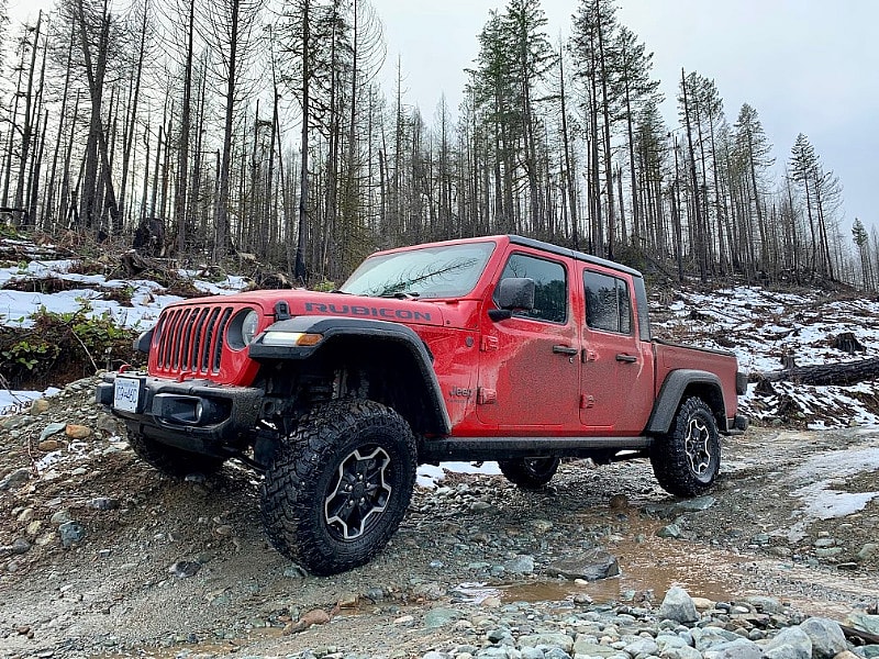 Gladiator Articulator