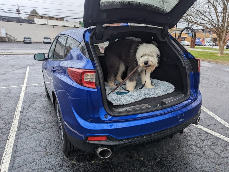 Traveling with a Dog: The Best Cars For Life on the Road With Fido 5 2022 Acura Rdx Cargo Space Traveling With Dogs