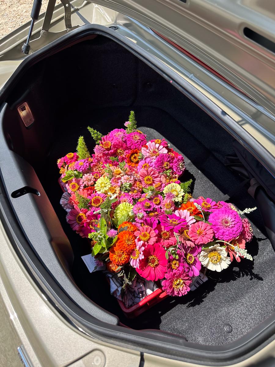 The Trunk In The 2024 Mazda Mx-5 Miata