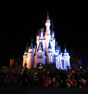 Cinderella'S Castle At Night