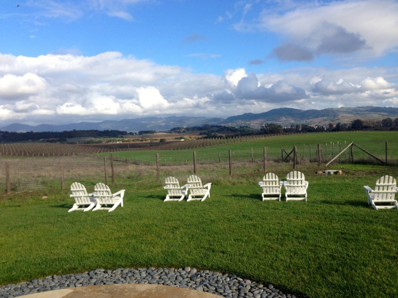 Wine country-view from Carneros Inn