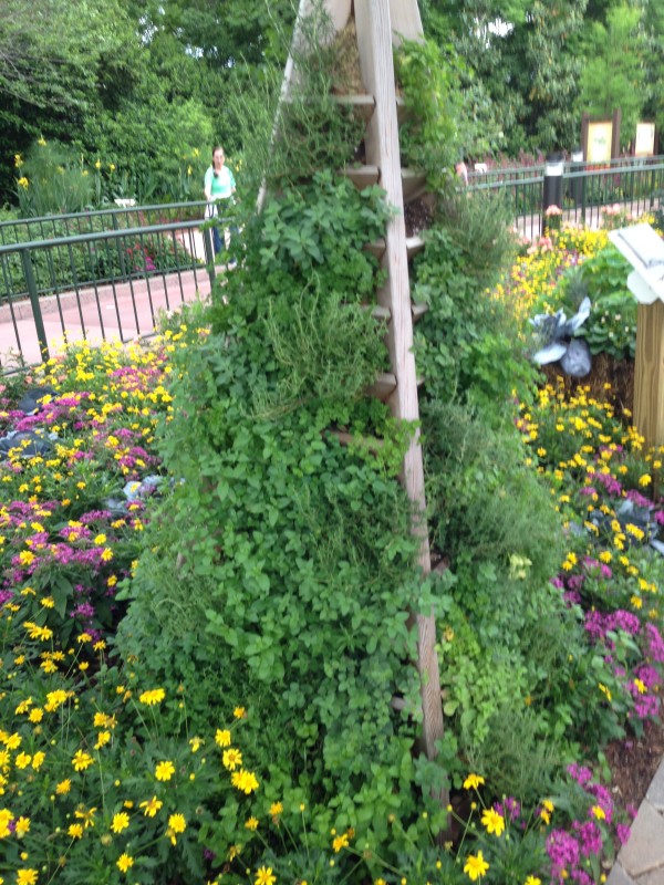 Epcot Flower Show