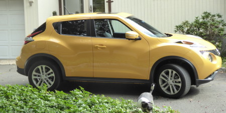 compact crossover