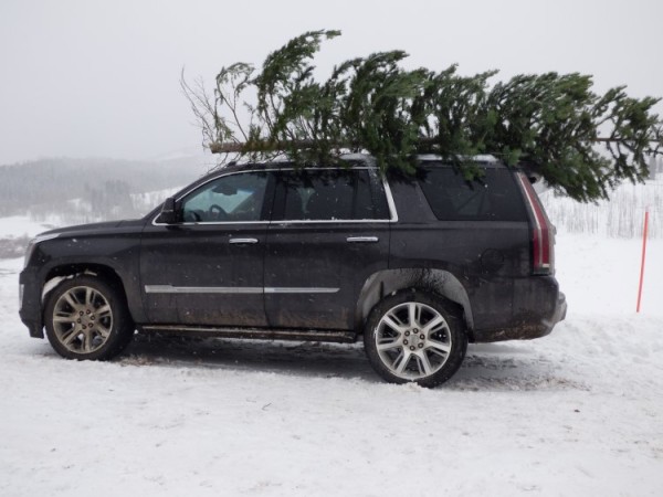 2015 Cadillac Escalade
