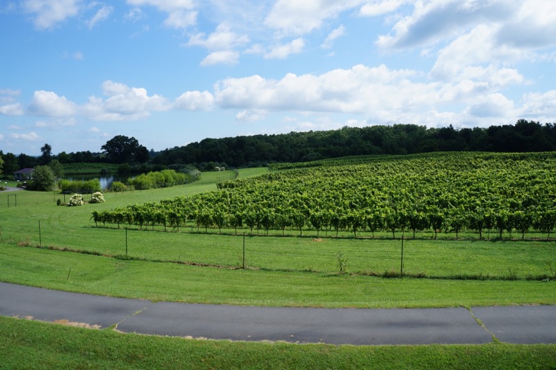 Wine country in Virginia