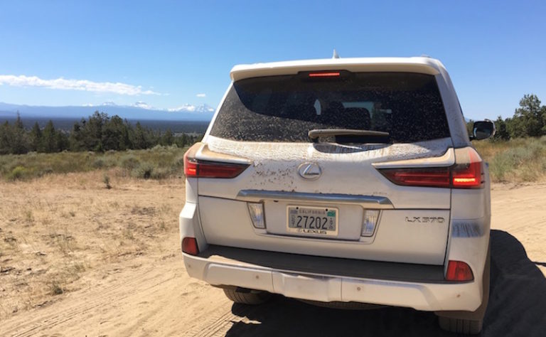 Off Road Lexus