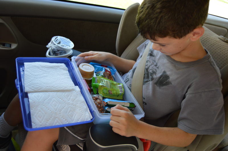 Healthy Travel Snacks for the Car: Happiness in the School Pickup Line