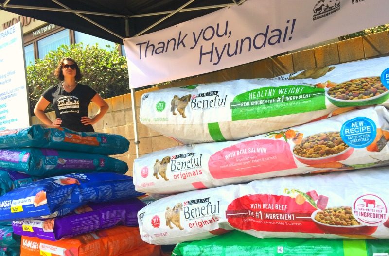 Doing good on a Sonata test drive: delivering dog food in SoCal.