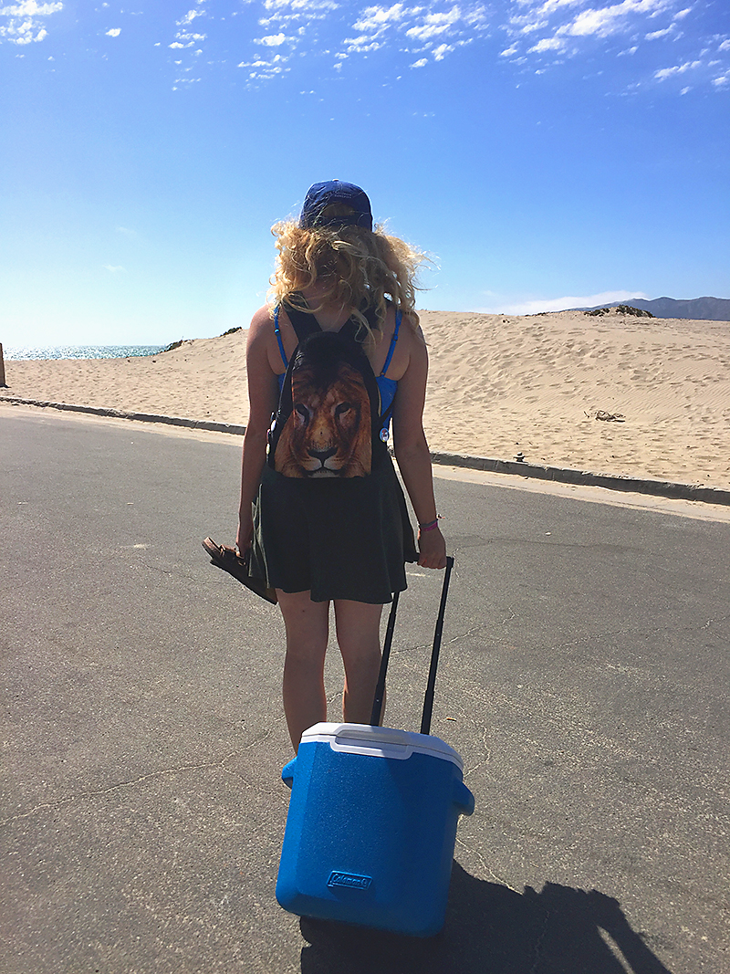 What to pack for the beach – a cooler!