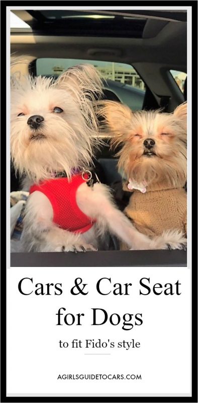 Is your pup always ready for a car ride? We tried out a number of cars that makes traveling with a pet easy and enjoyable. Also, cuteness overload ahead.
