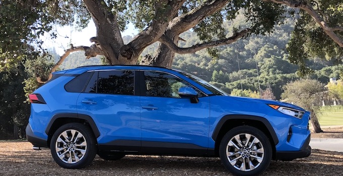 2019 Toyota RAV4 compact SUV in blue and parked by a tree