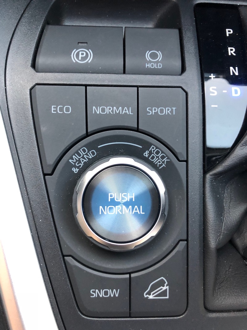 2019 Toyota RAV4 compact SUV