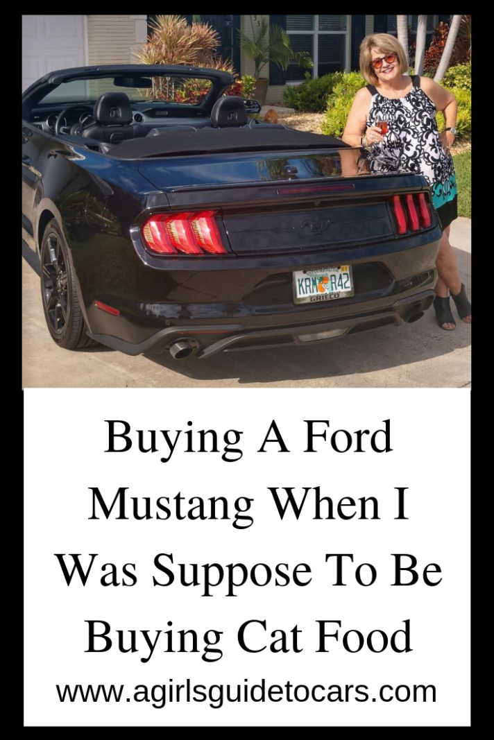 Buying A Ford Mustang When I Was Suppose To Be Buying Cat Food