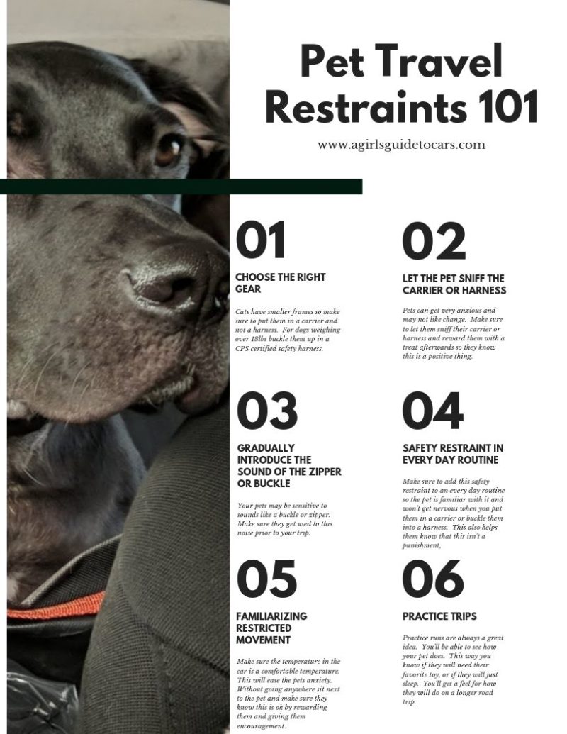 Pet Travel Restraints 101