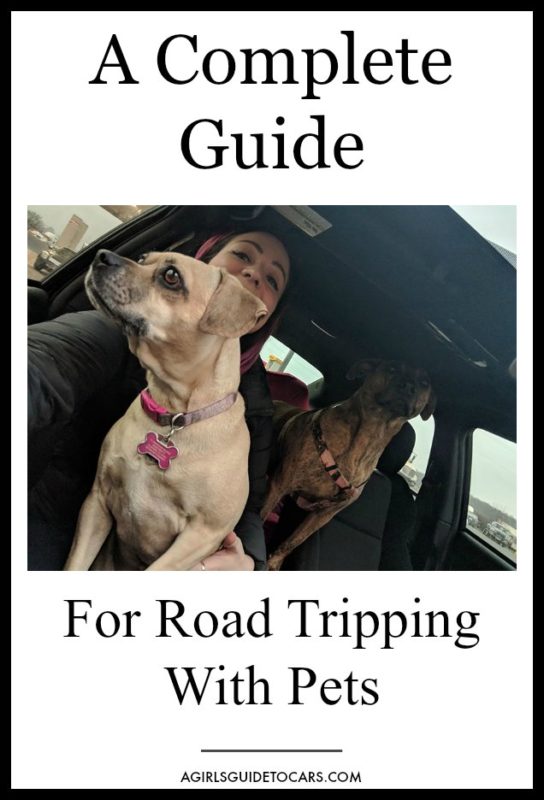 After driving over 3,000 miles with two dogs, I have a ton of experience on road tripping with dogs! Read this complete guide for your next adventure!