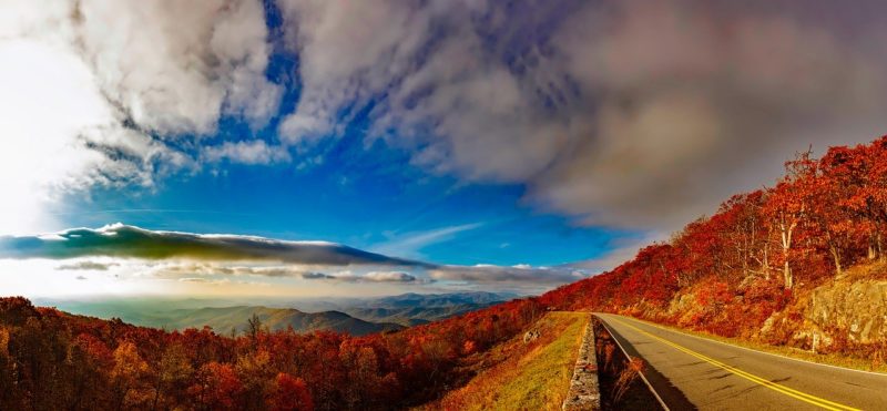 The view from Blue Ridge Mountains and Skyline Drive in Shenandoah National Park are worth a road trip at least once in life.
