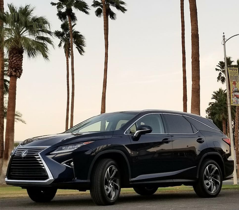 Lexus RX350L nestled among the palm trees 