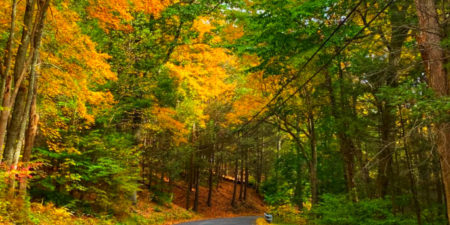 Autumn road trips in New York on A Girls Guide to Cars