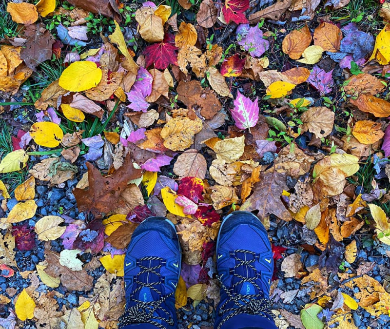 Stop & Play in the Leaves on an autumn road trip for A Girls Guide to CArs
