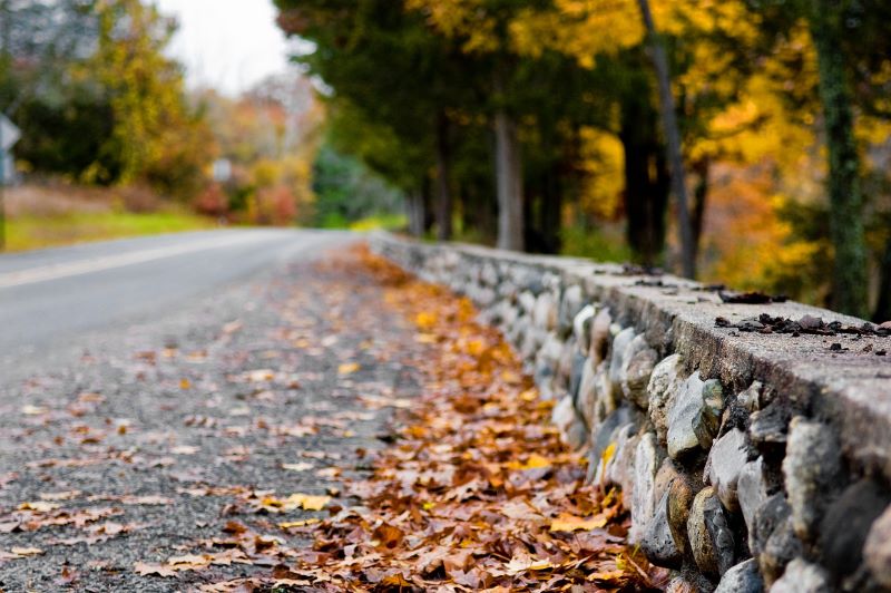 best fall road trips to see fall foliage