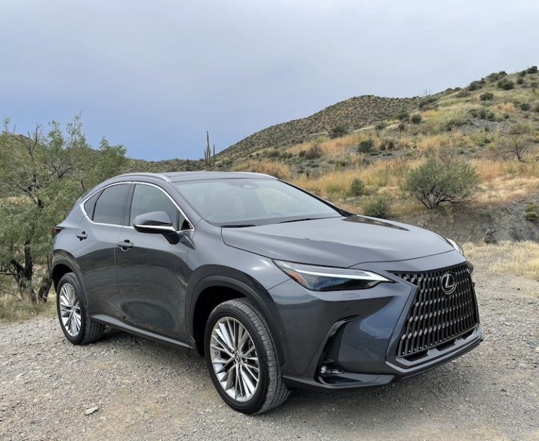 The 2022 Lexus Nx